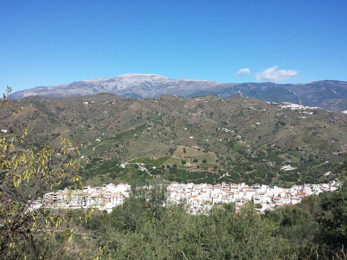 Holiday home Perla Blanca